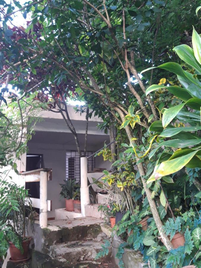 Apartamento Au Jardin Fleuri Sainte-Anne Exterior foto
